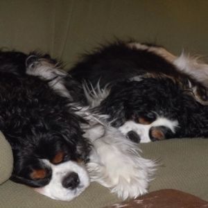 Meet your Posher, Kathy